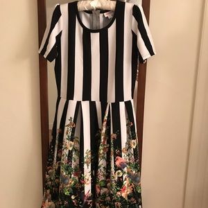 Lularoe Amelia